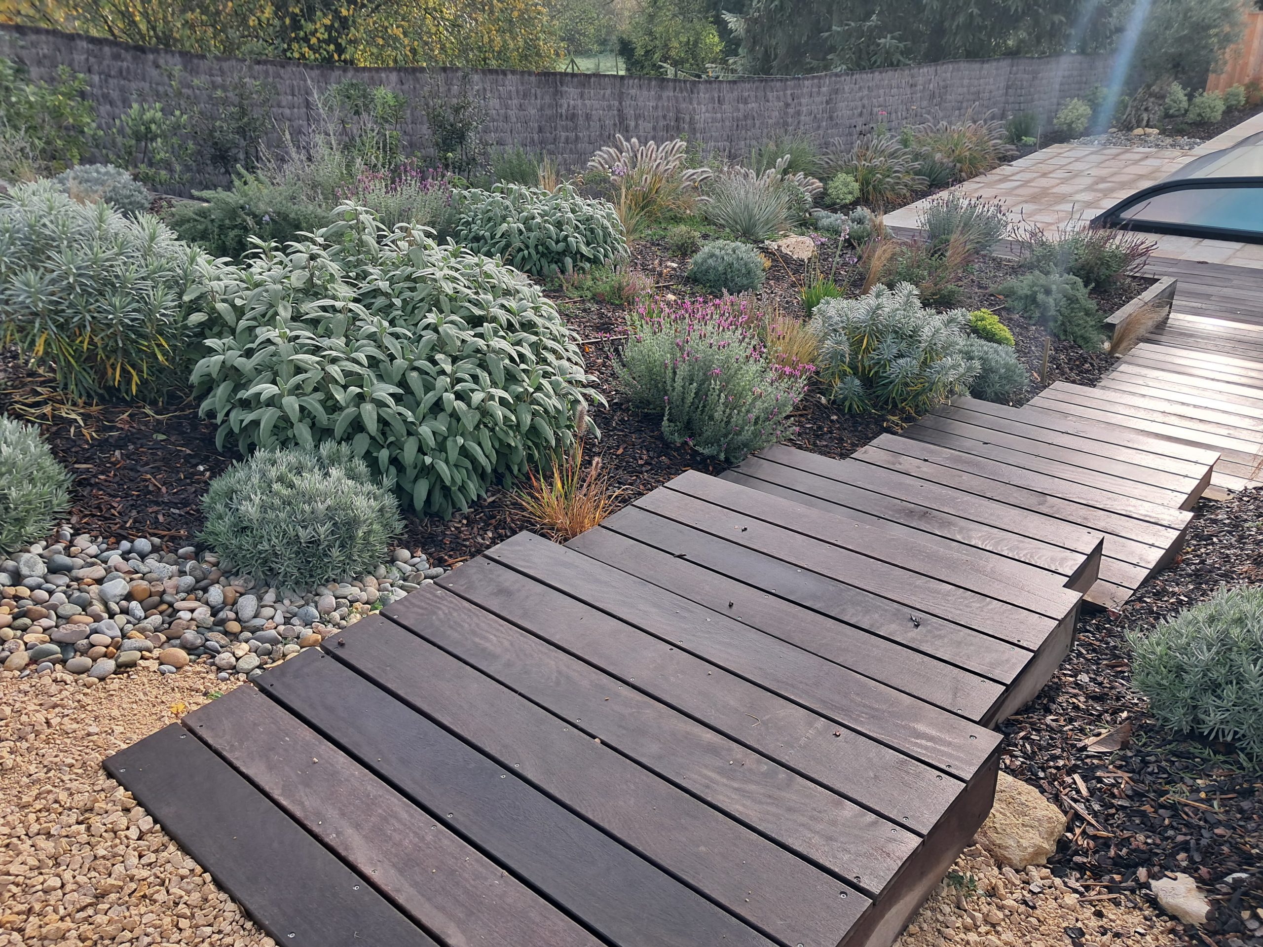 escaliers en bois qui mènent à une piscine. Plantes méditerranéennes de chaque côté avec paillage naturel