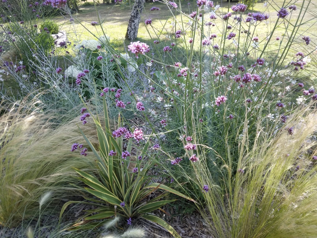Petites fleurs violettes