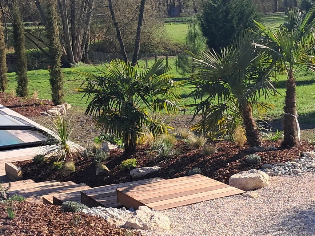 Jardin méditerranéen avec palmiers et plantes de rocaille