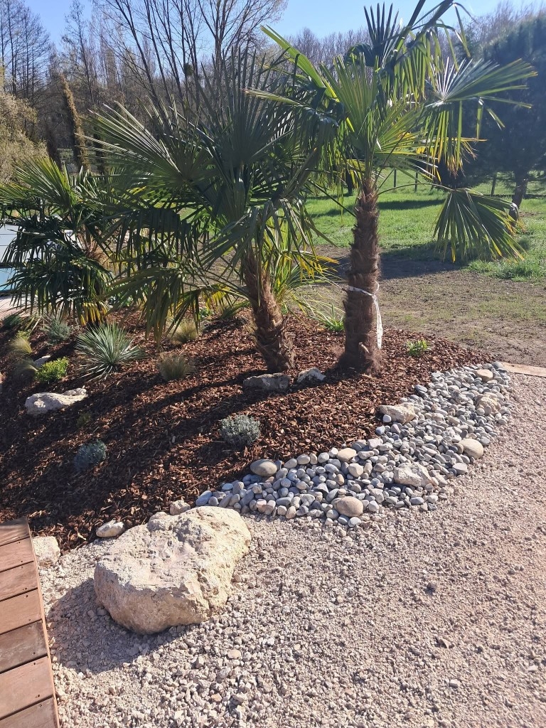 Aménagement d'un jardin méditerranéen avec palmiers et paillage en copeaux. Pierres et galets au premier plan.