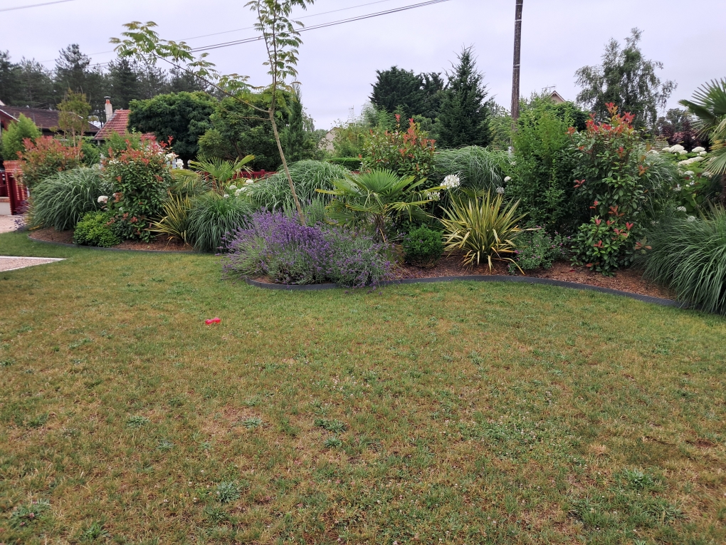 Massif de fleurs dans un jardin avec pelouse au première plan