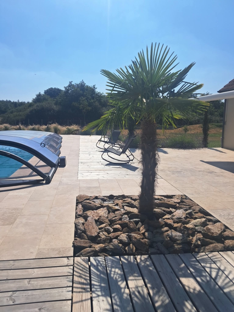 Aménagement épuré au bord d'une piscine. Palmier planté dans un parterre de gros rochers