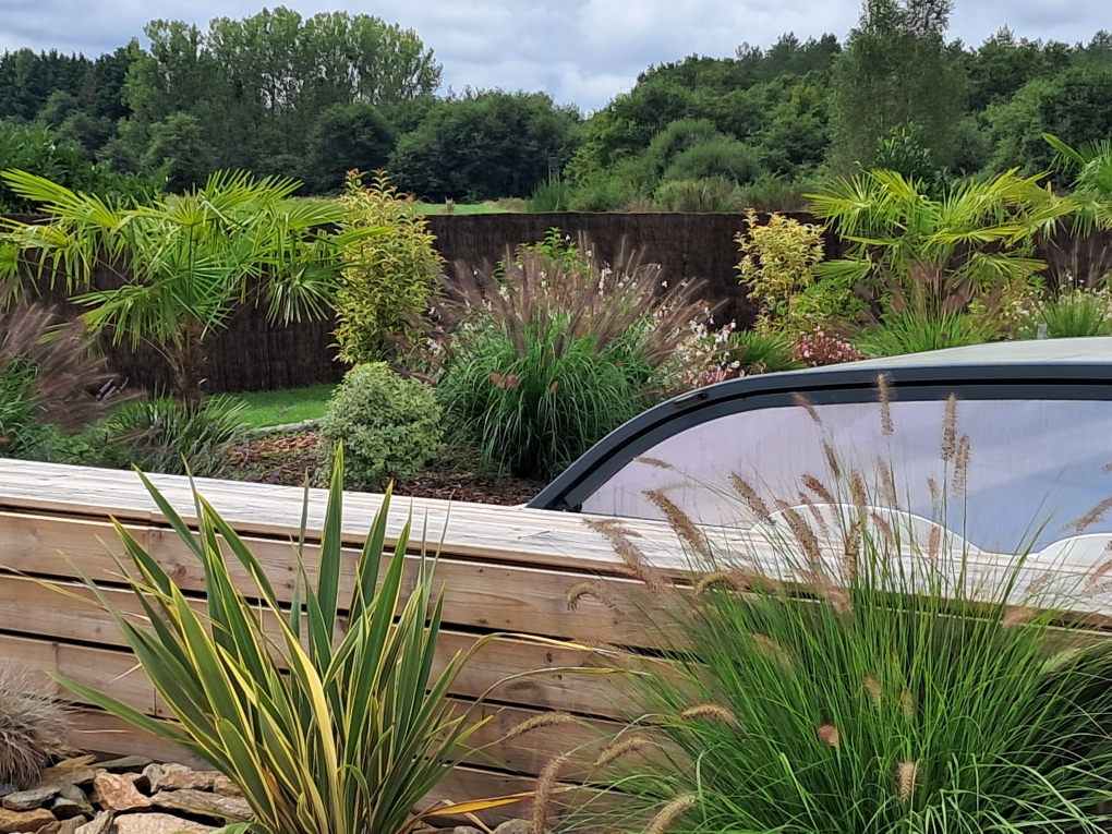 Aménagement bois devant une piscine avec bordure de graminées et jardin planté à l'arrière
